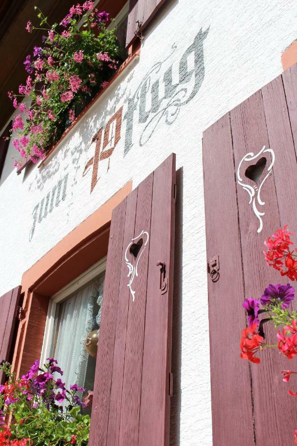 Hotel Landgasthof Zum Pflug Kleines Wiesental 외부 사진